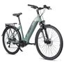 Fafrees FM9 with Mid-Drive Motor electric bike Image 4