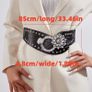 Belt Image 2