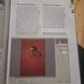 Understanding RAW Photography (Hardcover) Image 3