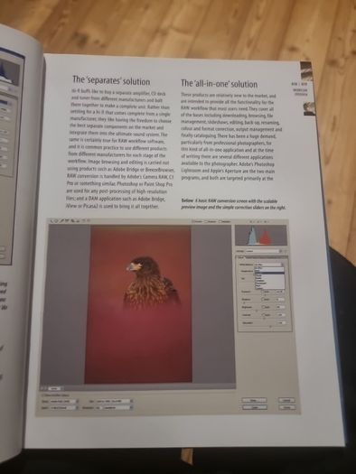 Understanding RAW Photography (Hardcover)