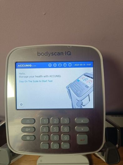 body fat scales