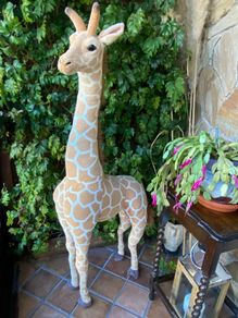 5' Giraffe