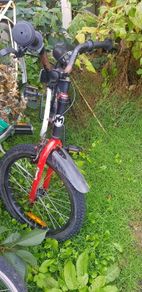 Bicycle, childs.