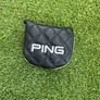 Ping Fetch 2024 Image 4