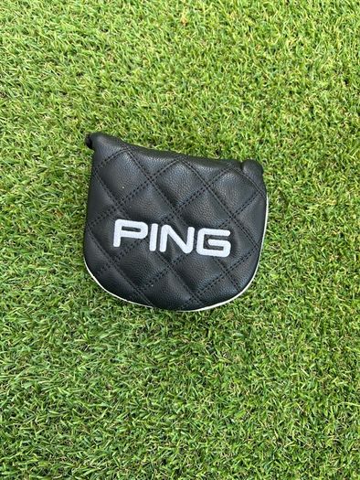 Ping Fetch 2024