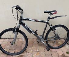 Giant Mountain Bike