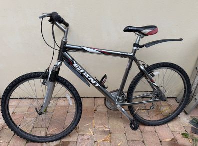Giant Mountain Bike