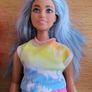 Curvy Barbies Image 2