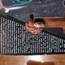 The Familiar - Mark Z Danielewski (volume 1) Image 5