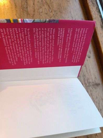 Rare Harry Potter and the Philosopher's Stone Irish 1st Edition