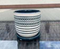 Flower Pot with attached saucer
