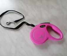 Retractable Lead for Dogs