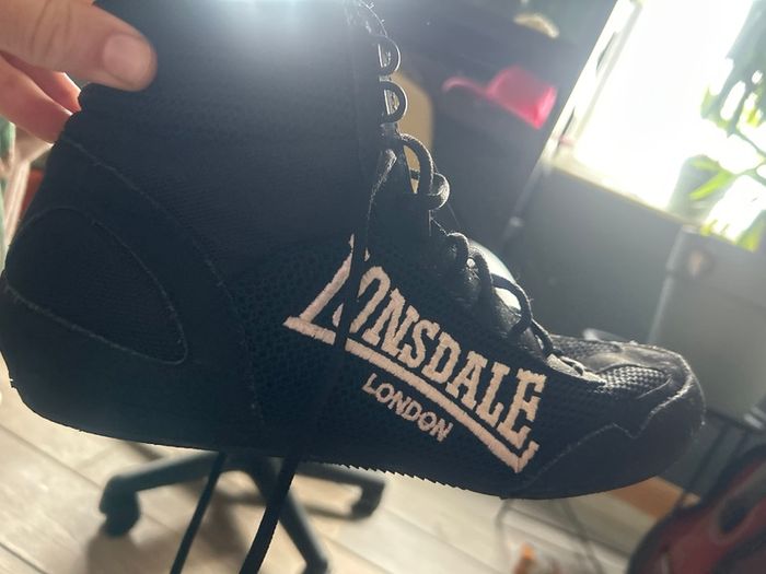 Boxing shoes