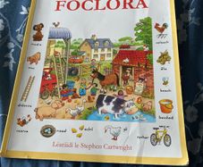Irish language children's book