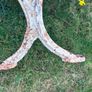 Pair of Victorian cast iron bench ends Image 7