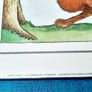 'Le Corbeau et Le Renard' poem picture Image 6