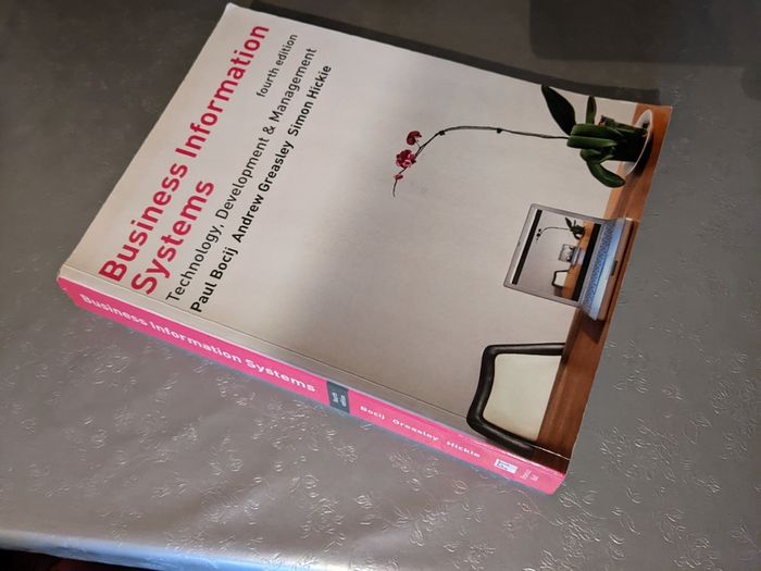 Business information systems book