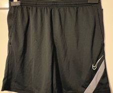 Nike grey/ black Dri fit shorts