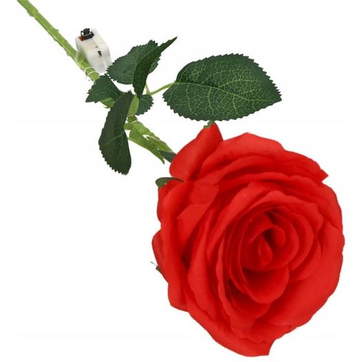 Rose Led Glow For Valentine's 50cm Red