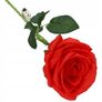 Rose Led Glow For Valentine's 50cm Red Image 5