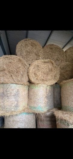 Hay