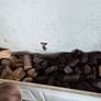 firewood box Image 2