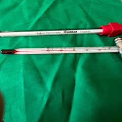 2 Old yogurt thermometers,