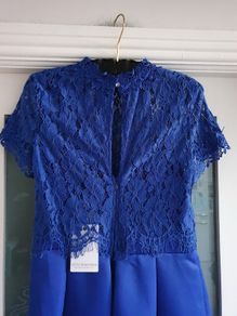 Little Mistress royal blue dress Sz 12 - Bnwt Rrp 85