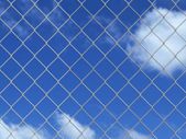 Chain Link Fence with Posts Spike Galvanised Steel 15x1 m