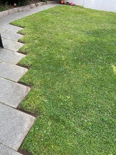 Grass Cutting & Garden Maintenance
