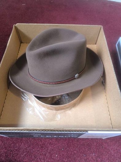 Mens Stetson Hat