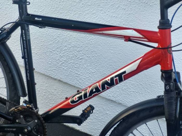 Giant Rock Large Bike
