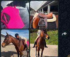 horse stuff bridel numnat.striips