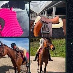 horse stuff bridel numnat.striips