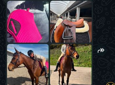 horse stuff bridel numnat.striips