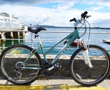 Mountain Bike (Step through)