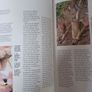 Roses/ A Care Manual/ Amanda Beales Image 7