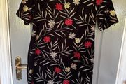 ladies dress