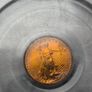 Gold 5 Dollar Ms69 Usa Eagle Image 3