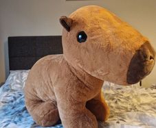 Giant build a bear Capybara