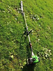 hedge trimmer