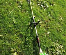 hedge trimmer