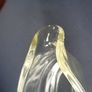 Vintage Pyrex Clear Glass Gravy Jug for Sale Image 7