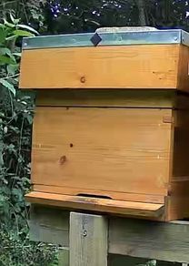National Beehive & 2 x Nuc hives