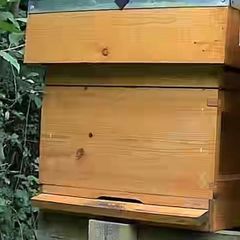 National Beehive & 2 x Nuc hives