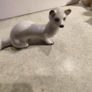 Weasel ferret laska Soviet Russian porcelain figurine USSR PAST CENTUR Image 5