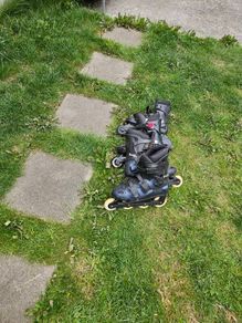 Roller blades