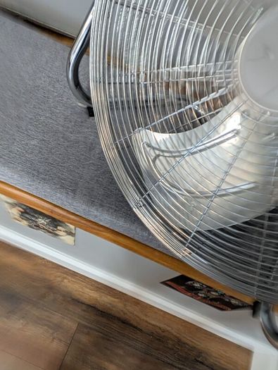 Stainless Steel Fan Floor Fan