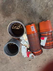 Plastic flower pots