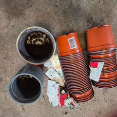 Plastic flower pots